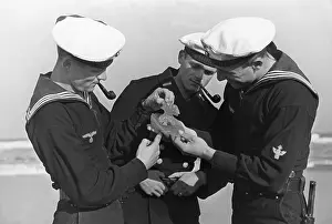Ashore: Sailors look at a jellyfish