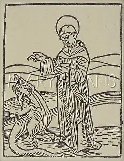 Amand: SAINT AMAND D'ELNON