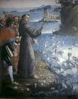 Conch: Saint Anthony of Padua preaching to the fishes
