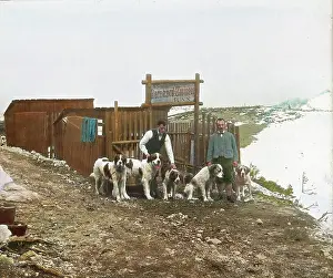 Bernards: Saint Bernard breeding of Camillo Kronich