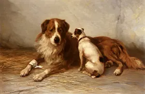 Emotions: Saint Bernard and Friend