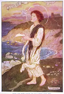 Dewi: SAINT DAVID