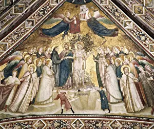 1226: Saint Francis of Assisi