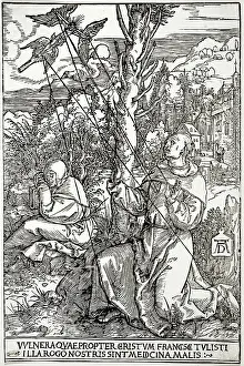 1503: Saint Francis of Assisi