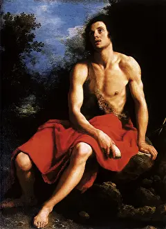 1625: Saint John the Baptist in the Desert