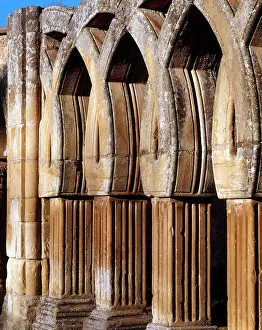 Xiii: Saint John of Douro. Intertwined arches. Soria. Castile and