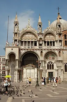 Pigeons: Saint Mark Cathedral. Venice. Italy
