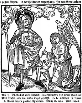 1320: Saint Rochus during the plague