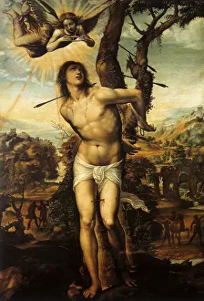 Calle: Saint Sebastian