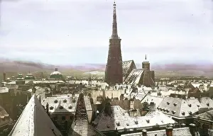 Stephans: Saint Stephen's Cathedral