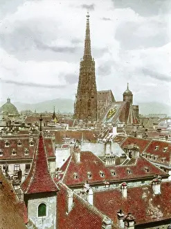 Stephans: Saint Stephen's Cathedral