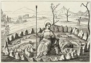 Flocks: SAINTE GENEVIEVE