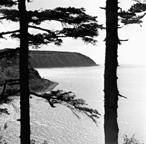 Sakhalin: Sakhalin Island, 1973