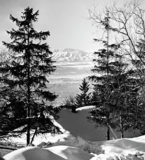 Galushko: Sakhalin landscape, 1973