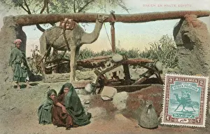 Pumps: Sakia in Upper Egypt