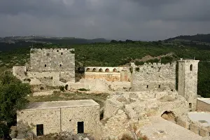 Ayyubids: Saladin's Castle, Syria