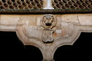 Conchas: Salamanca