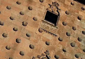Conchas: Salamanca