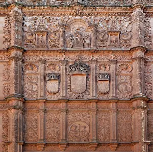 Universidad: Salamanca