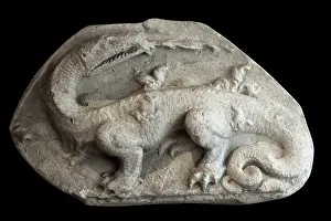 Duban: Salamander, Chateau Royal de Blois, Loir-et-Cher, France
