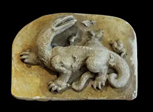 Duban: Salamander, Chateau Royal de Blois, Loir-et-Cher, France