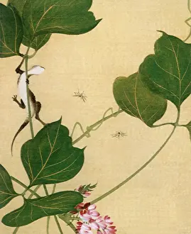 Stalk: Salamander on Plant