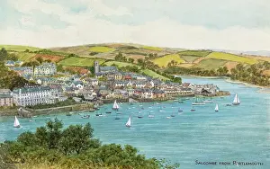 Salcombe: Salcombe, Devon, viewed from Portlemouth