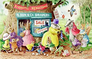 Hedgehogs: The Sale