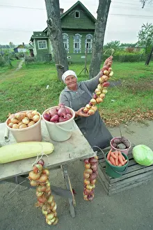 Retiree: Sale of vegetables, 1998