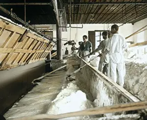 Saline: Saline workers