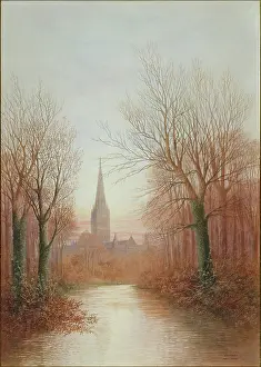 Goff: Salisbury ' the Cathedral with woods
