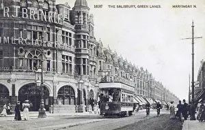 Lampost: The Salisbury Hotel pub, Green Lanes, Harringay, London