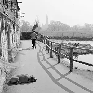 Harnham: Salisbury, Wiltshire