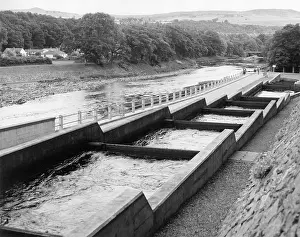 Tummel: SALMON FISH LADDER