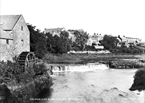 Leap: Salmon Leap on Bush River, Bushmills