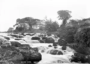 Leap: Salmon Leap, Bushmills