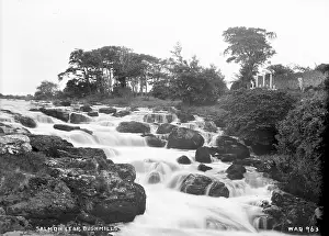 Leap: Salmon Leap, Bushmills