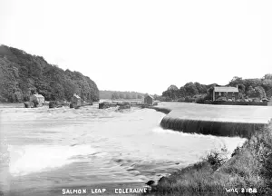 Leap: Salmon Leap, Coleraine