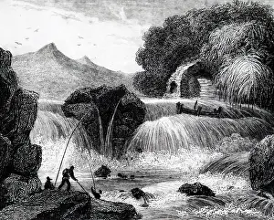 Leap: Salmon leap at Leixlip, Ireland