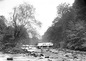 Leap: Salmon Leap, R. Liffey