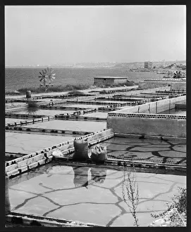 Bill Coward: SALT EXTRACTION BEDS