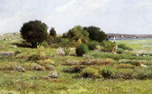 Meakin: Salt Marsh, Cape Ann