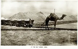 Tran: The Salt Works, Aden, Yemen