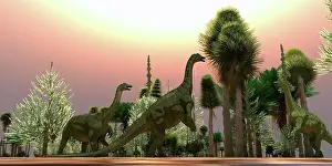 Rearing: A Saltasaurus dinosaur herd munches on cycad trees