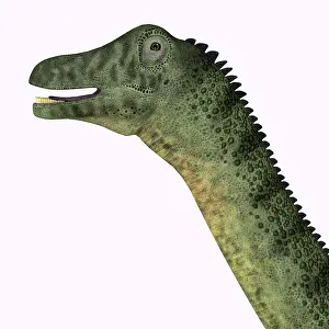 Titanosaur: Saltasaurus dinosaur portrait