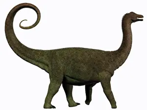 Saltasaurus: Saltasaurus was a sauropod dinosaur of the Cretaceous ?