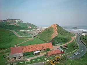 Saltburn: Saltburn - Cat Nab