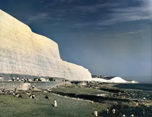 Saltdean: SALTDEAN CHALK CLIFFS