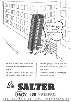 Salter: Salter Springs