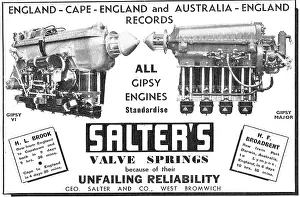 Salter: Salter's Aero Engine Valve Springs
